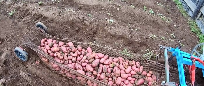 DIY Kartoffelgräber aus Müll