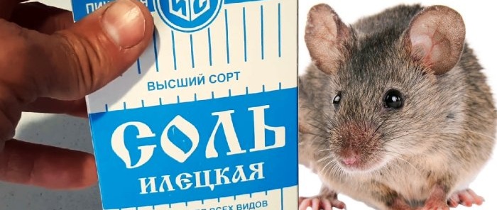 Hogyan lehet egyszer és mindenkorra megszabadulni az egerektől Biztonságos gyógymód emberek és állatok számára