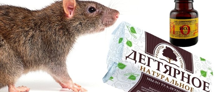 Naturalny i bezpieczny środek odstraszający myszy