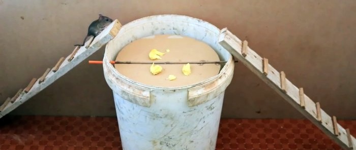 Jak vyrobit past na myši z plastového kbelíku