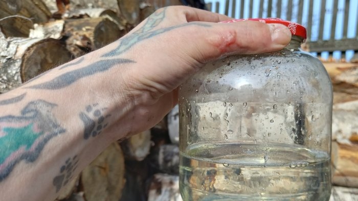 Как правилно да събирате брезов сок с минимални щети на дървото
